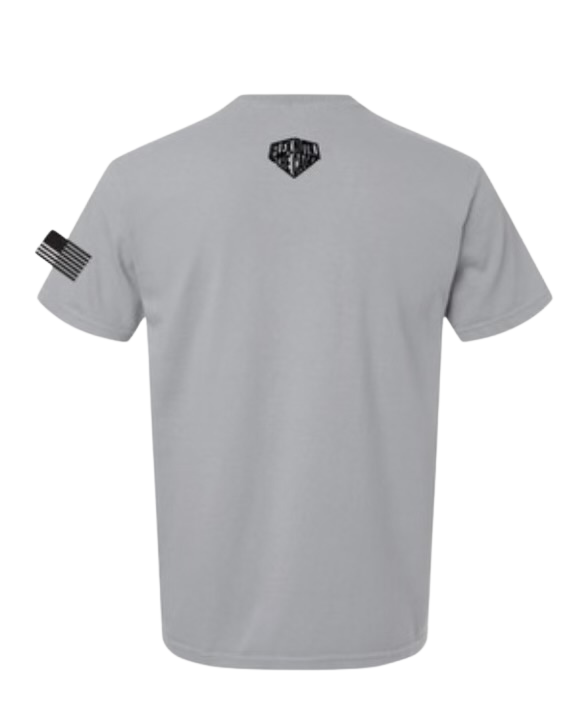 Flex Nutrition Lightweight T Shirt Blue/Gray