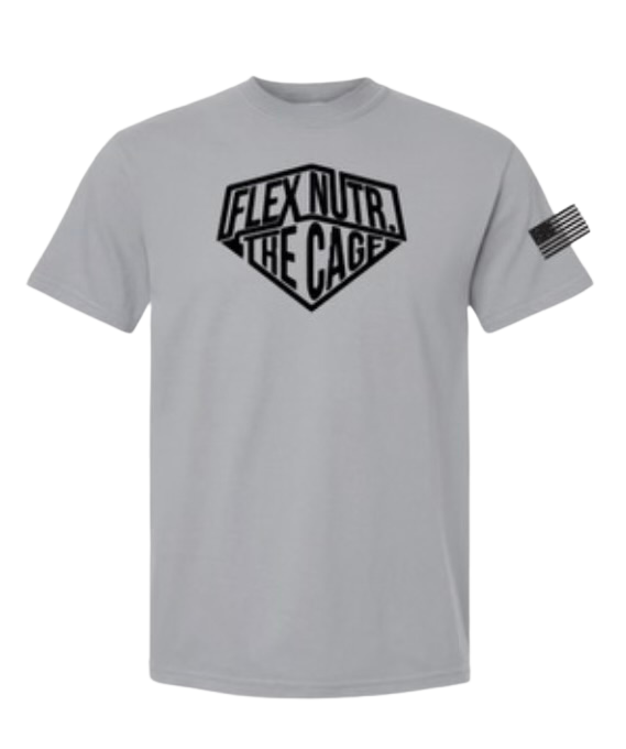 Flex Nutrition Lightweight T Shirt Blue/Gray