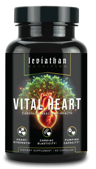 Leviathan Vital Heart