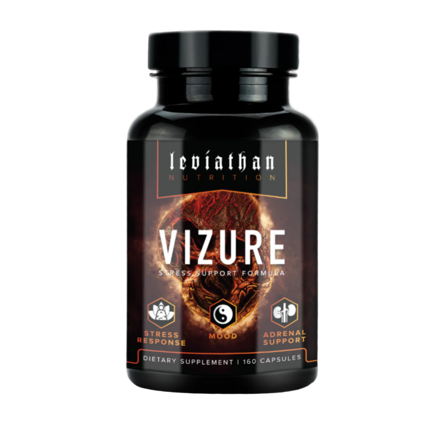 Leviathan Vizure