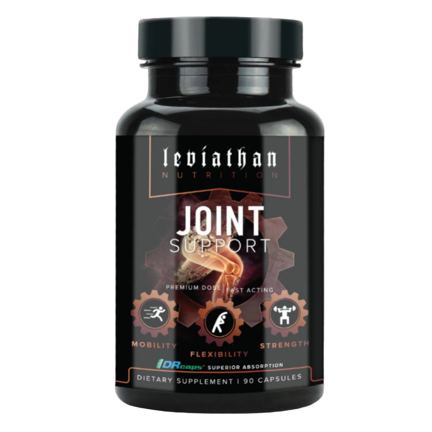 Leviathan Joint Support
